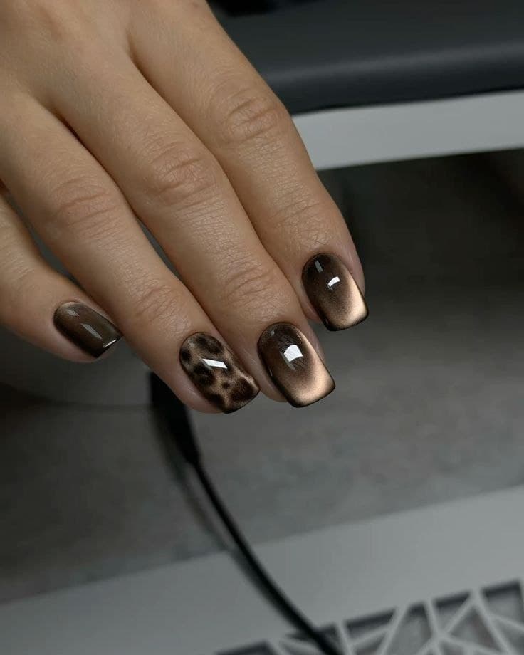 Шоколадный кошачий глаз